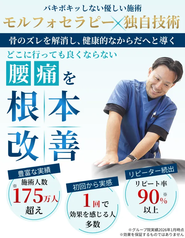 モルフォセラピーによる腰痛の根本改善施術のイメージと実績を紹介するFV画像