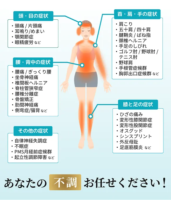 身体の各部位に対応する症状を説明した図解